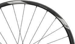 Newmen Advanced SL A.30 FADE Boost Disc Center Lock 29" Laufradsatz -Shimano Verkäufe 334532