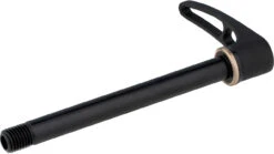 Dt-swiss RWS Road Steckachse Mit Schnellspannhebel -Shimano Verkäufe 348243