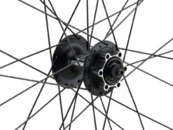 Mountain Alivio Disc 6-Loch DT Swiss 466d 29" Laufradsatz -Shimano Verkäufe 399633