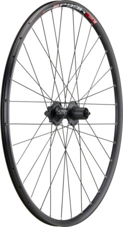 Mountain Alivio Disc 6-Loch DT Swiss 466d 29" Laufradsatz -Shimano Verkäufe 399634