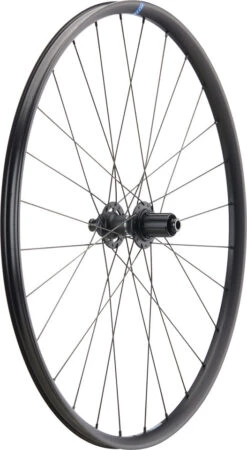 RITCHEY WCS Zeta GX Disc Center Lock 28" Laufradsatz 12 RITCHEY WCS Zeta GX Disc Center Lock 28" Laufradsatz -Shimano Verkäufe 456493